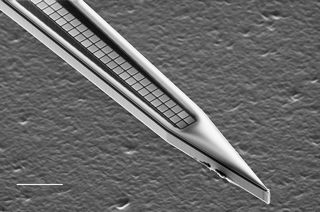 Close-Packed Silicon Microelectrodes for Scalable Spatially Oversampled Neural Recording Close-Packed Silicon Microelectrodes for Scalable Spatially Oversampled Neural Recording